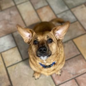 Meet your Posher, Cadence